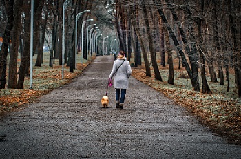 Image of person walking their dog