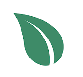 freshwell app logo, an illustrated green leaf
